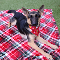 Thumbnail photo of Carmen (25-458) #3