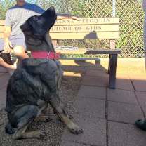 Thumbnail photo of Scarlette  #3