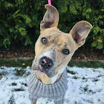 Thumbnail photo of Lydia #1