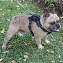 Thumbnail photo of Miller #2