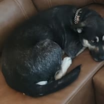 Thumbnail photo of Rubi #1