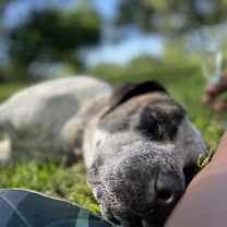 Thumbnail photo of Clyde #2