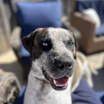 Thumbnail photo of Clyde #4