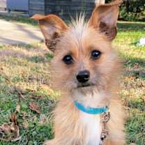 Thumbnail photo of BEAR BOY #4