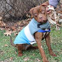 Thumbnail photo of Hooch #1