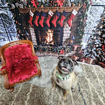 Thumbnail photo of Pumba #2