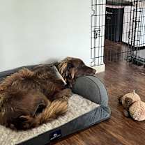 Thumbnail photo of August #3