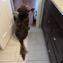 Thumbnail photo of August #4