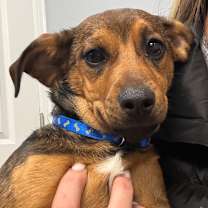 Thumbnail photo of Zara #2