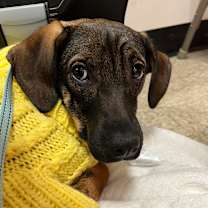 Thumbnail photo of Autumn G #1