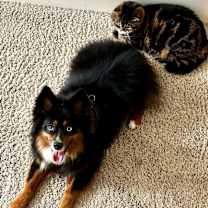 Thumbnail photo of Oakley #3