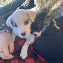 Thumbnail photo of Arlena #2