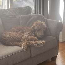 Thumbnail photo of Moxie #4