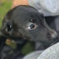 Thumbnail photo of Brittany #4