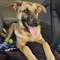 Thumbnail photo of LUNA #2