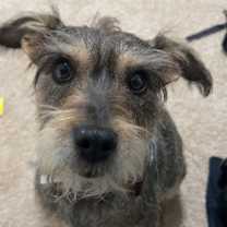 Thumbnail photo of Mel #1