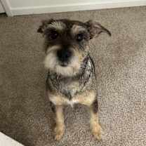 Thumbnail photo of Mel #2