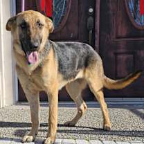 Thumbnail photo of LUNA #1