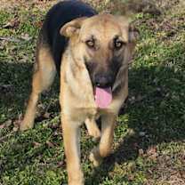 Thumbnail photo of LUNA #3