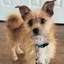 Thumbnail photo of BEAR BOY #1