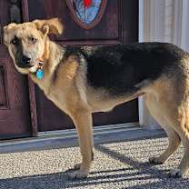 Thumbnail photo of LUNA #4