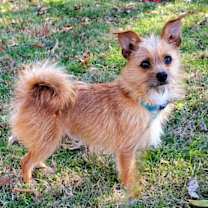 Thumbnail photo of BEAR BOY #2