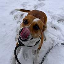 Thumbnail photo of Astrid #2