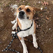 Thumbnail photo of Astrid #3