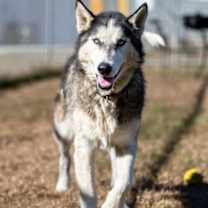 Thumbnail photo of Sky #2