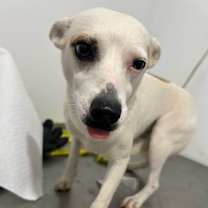 Thumbnail photo of Bubbles #2