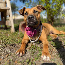 Thumbnail photo of Whitney #1