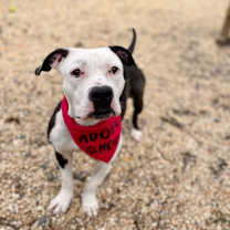 Thumbnail photo of Jackie #2