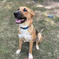 Thumbnail photo of Cooper Manning #1