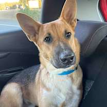 Thumbnail photo of Cooper Manning #2