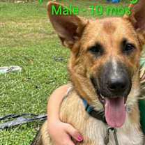 Thumbnail photo of Cooper Manning #3