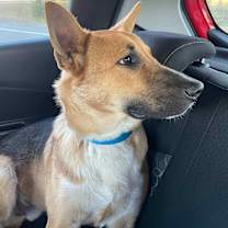 Thumbnail photo of Cooper Manning #4