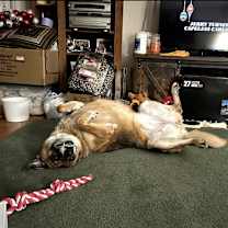 Thumbnail photo of Octavia #1