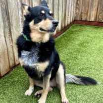 Thumbnail photo of Stella #2