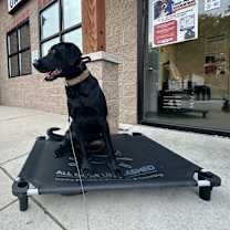 Thumbnail photo of Bolt #1