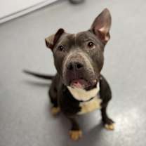 Thumbnail photo of Rucus #1