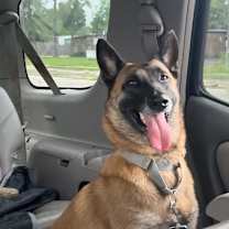 Thumbnail photo of Marcella #1