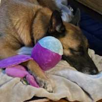 Thumbnail photo of Marcella #2