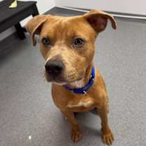 Thumbnail photo of Marvin #1