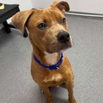 Thumbnail photo of Marvin #2