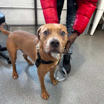 Thumbnail photo of Marvin #3