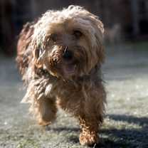 Thumbnail photo of Pickles CO #1