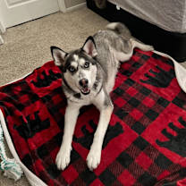 Thumbnail photo of Luna #1