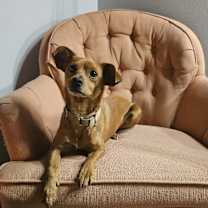 Thumbnail photo of Jordy #1