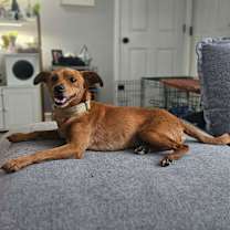 Thumbnail photo of Jordy #3