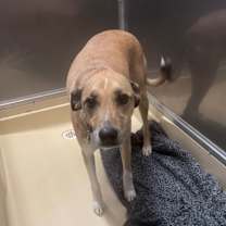 Thumbnail photo of Sasha #4